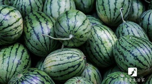 免费高质量吃瓜,揭秘高质量吃瓜盛宴！  第2张