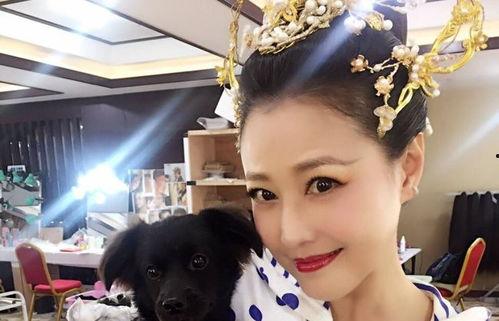 黄安爆料周海媚满清视频,揭秘娱乐圈不为人知的往事  第2张