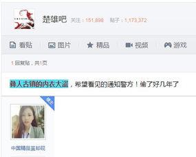 大盗爆料视频大全下载,惊心动魄的盗界风云 第1张 大盗爆料视频大全下载,惊心动魄的盗界风云 第1张